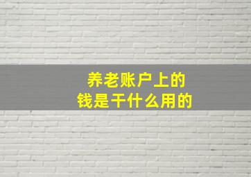 养老账户上的钱是干什么用的