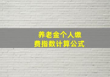 养老金个人缴费指数计算公式