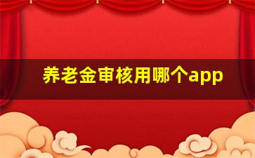 养老金审核用哪个app