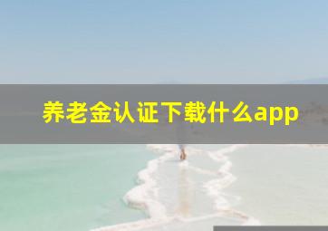 养老金认证下载什么app