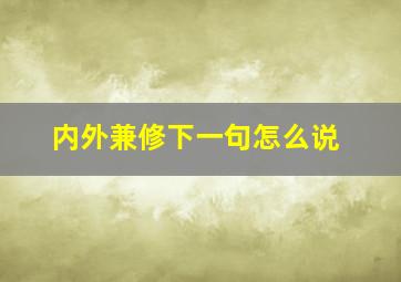 内外兼修下一句怎么说