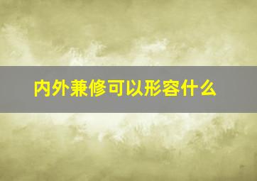 内外兼修可以形容什么