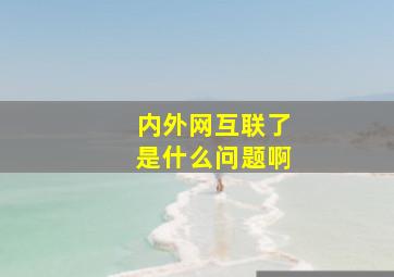 内外网互联了是什么问题啊