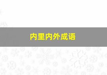 内里内外成语