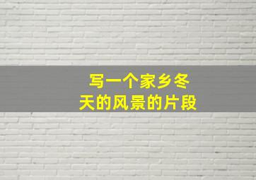 写一个家乡冬天的风景的片段