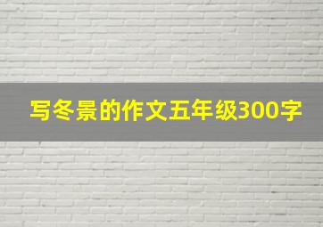 写冬景的作文五年级300字