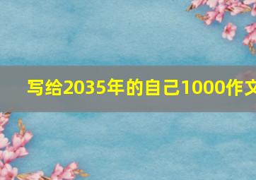 写给2035年的自己1000作文