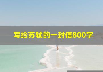 写给苏轼的一封信800字