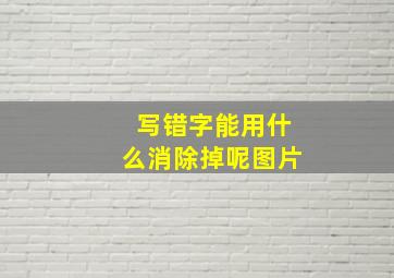 写错字能用什么消除掉呢图片