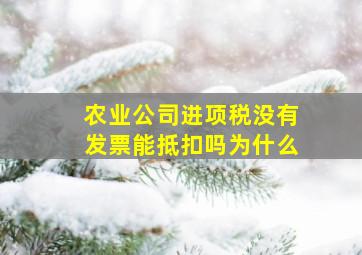 农业公司进项税没有发票能抵扣吗为什么