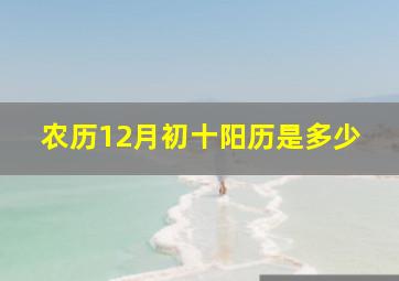 农历12月初十阳历是多少