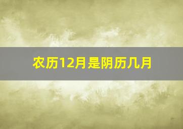 农历12月是阴历几月