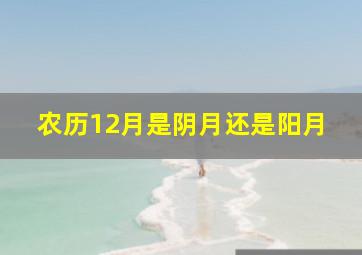 农历12月是阴月还是阳月