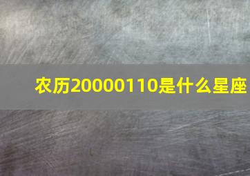 农历20000110是什么星座