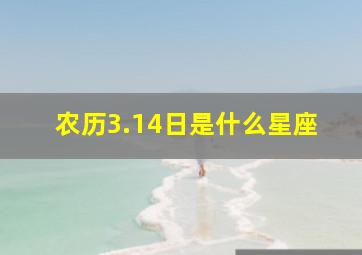 农历3.14日是什么星座