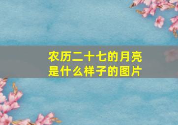 农历二十七的月亮是什么样子的图片