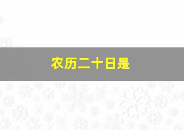 农历二十日是