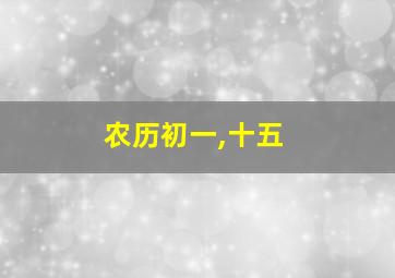 农历初一,十五