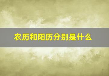 农历和阳历分别是什么