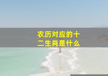 农历对应的十二生肖是什么