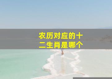 农历对应的十二生肖是哪个