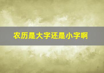 农历是大字还是小字啊