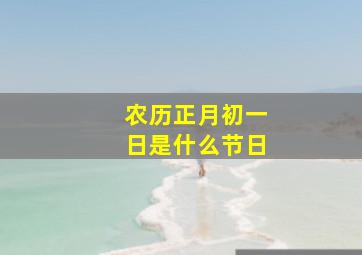 农历正月初一日是什么节日