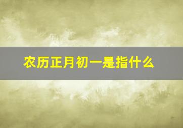 农历正月初一是指什么