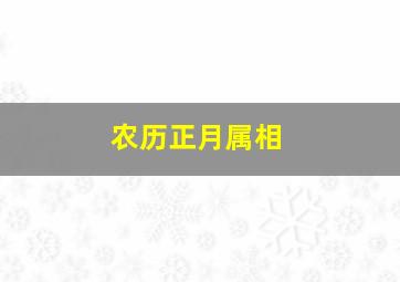 农历正月属相