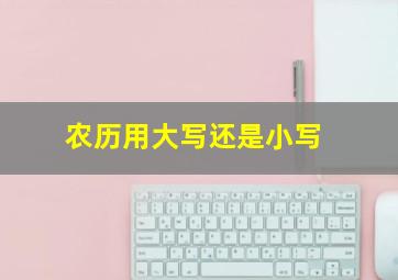 农历用大写还是小写