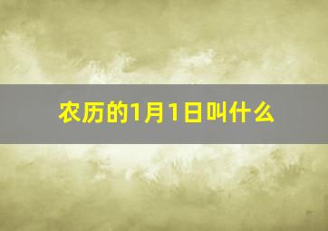 农历的1月1日叫什么