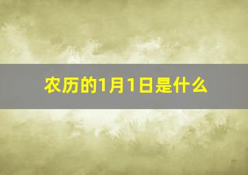 农历的1月1日是什么