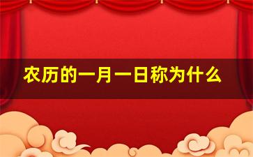 农历的一月一日称为什么