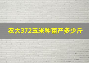 农大372玉米种亩产多少斤