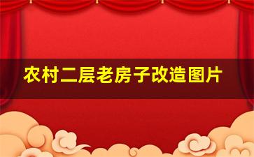 农村二层老房子改造图片