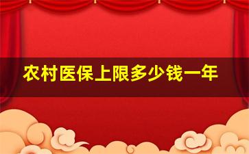 农村医保上限多少钱一年