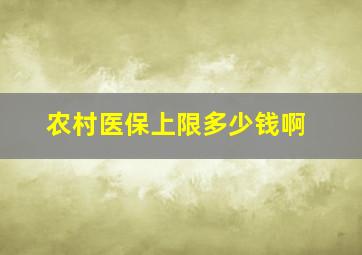 农村医保上限多少钱啊