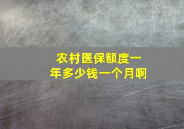 农村医保额度一年多少钱一个月啊