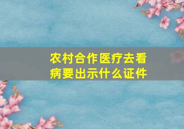 农村合作医疗去看病要出示什么证件