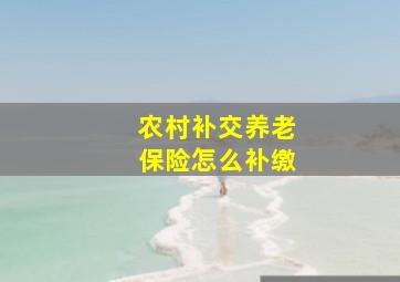 农村补交养老保险怎么补缴