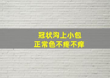 冠状沟上小包正常色不疼不痒