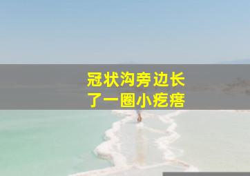 冠状沟旁边长了一圈小疙瘩