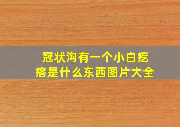 冠状沟有一个小白疙瘩是什么东西图片大全