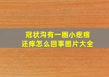 冠状沟有一圈小疙瘩还痒怎么回事图片大全