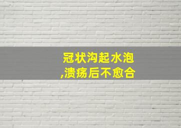 冠状沟起水泡,溃疡后不愈合