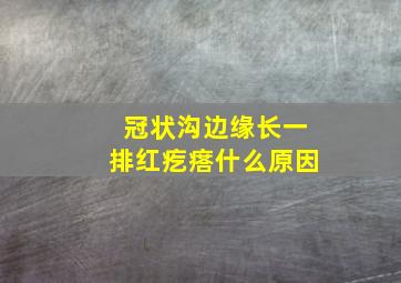 冠状沟边缘长一排红疙瘩什么原因