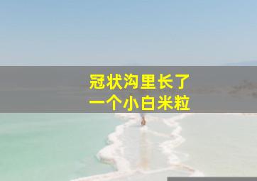 冠状沟里长了一个小白米粒