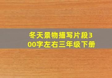 冬天景物描写片段300字左右三年级下册