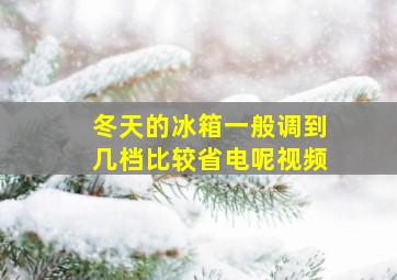 冬天的冰箱一般调到几档比较省电呢视频