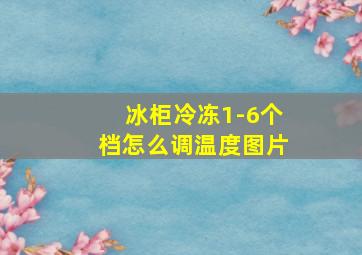 冰柜冷冻1-6个档怎么调温度图片